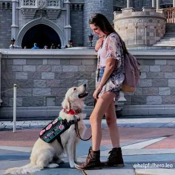 OneTigris Adjustable Dog Harness for Service Dogs and Pets