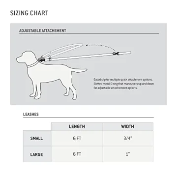 Durable Carhartt Shock Absorbing Dog Leash for Outdoor Fun