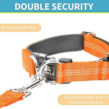 BAAPET Comfortable Dog Collar with Double Security Dual D-Ring and ID Tag Hanger for Small Puppy, Medium and Large Dogs (L - 1.0" x (16"-24"), Orange)