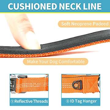 BAAPET Comfortable Dog Collar with Double Security Dual D-Ring and ID Tag Hanger for Small Puppy, Medium and Large Dogs (L - 1.0" x (16"-24"), Orange)