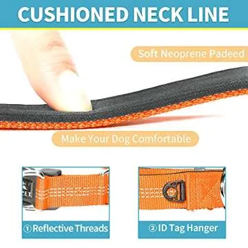 BAAPET Comfortable Dog Collar with Double Security Dual D-Ring and ID Tag Hanger for Small Puppy, Medium and Large Dogs (L - 1.0" x (16"-24"), Orange)