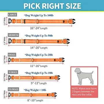 BAAPET Comfortable Dog Collar with Double Security Dual D-Ring and ID Tag Hanger for Small Puppy, Medium and Large Dogs (L - 1.0" x (16"-24"), Orange)