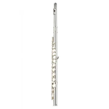 Glory Closed Hole C Flute for All Musicians