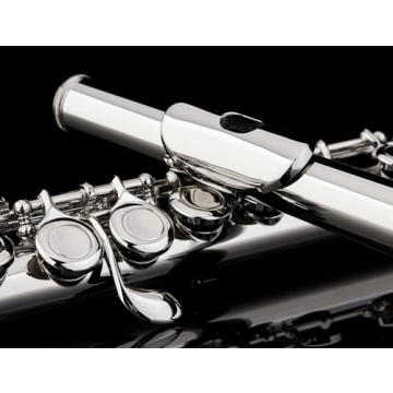 Glory Closed Hole C Flute for All Musicians