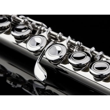 Glory Closed Hole C Flute for All Musicians