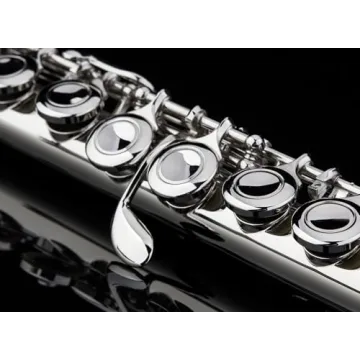Glory Closed Hole C Flute for All Musicians
