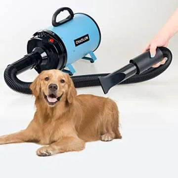 High Velocity Dog Dryer with Adjustable Speed & Heat