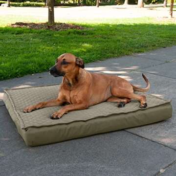 Furhaven Memory Foam Dog Bed for Large Dogs, Jumbo Size