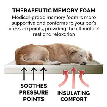 Furhaven Memory Foam Dog Bed for Large Dogs, Jumbo Size
