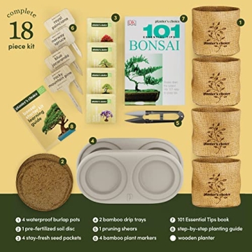 Bonsai Starter Kit - Complete DIY Gift for Garden Lovers
