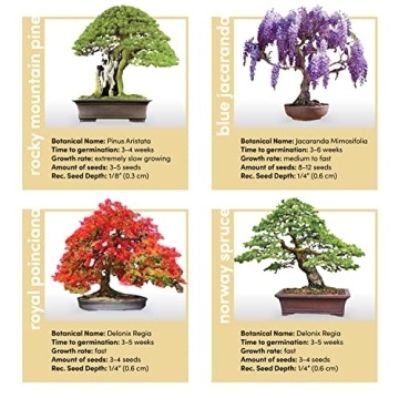 Bonsai Starter Kit - Complete DIY Gift for Garden Lovers