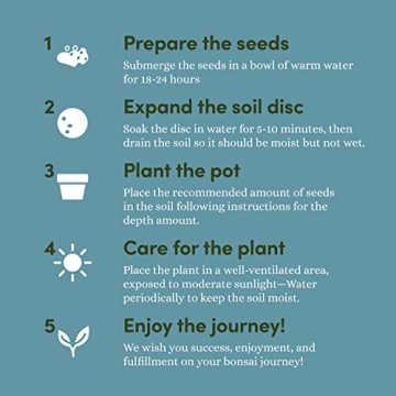 Bonsai Starter Kit - Complete DIY Gift for Garden Lovers