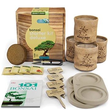 Bonsai Starter Kit - Complete DIY Gift for Garden Lovers