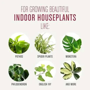 Miracle-Gro Houseplant Potting Mix: Fertilized, Perlite Soil for Indoor Gardening, Designed to Be Less Prone to Gnats, 4 qt.