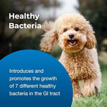 Pet-Ag Bene-Bac Plus Pet Gel - 15 g Syringe - FOS & Probiotics for Dogs, Cats, Exotic & Wildlife Mammals