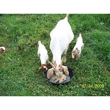 Little Giant® Rubber Utility Pan | Durable & Versatile Rubber Pan | 3 Gallon