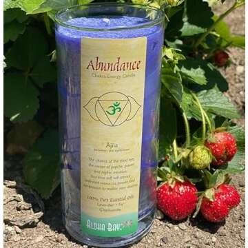 Premium Scented Hand Made Chakra Energy Jar | 11 Oz Jar Candle | Abundance, Ajna| Yoga, Prayer & Med...