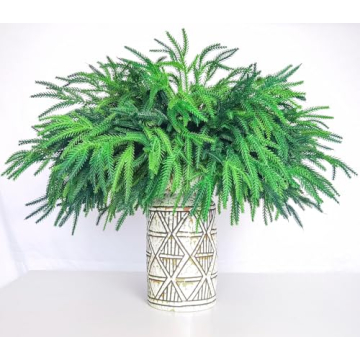6 Bundles Norfolk Pine Stems for Holiday Decor