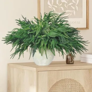 6 Bundles Norfolk Pine Stems for Holiday Decor