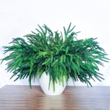 6 Bundles Norfolk Pine Stems for Holiday Decor