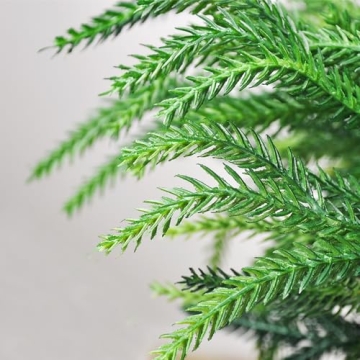 6 Bundles Norfolk Pine Stems for Holiday Decor