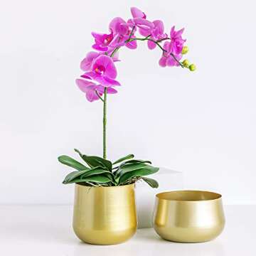 Kingrol 2 Pack Modern Gold Planters, Metal Flower Pot with Drainage Hole, Decorative Indoor Planter Pot, Round Succulent Flower Pot for Living Room, Kitchen, Office
