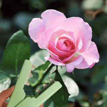 Zakrafo 4PCS Rose Thorn Stripper Tool Garden Supplies