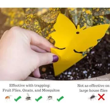 Trappify Sticky Gnat Traps for House Indoor - Yellow Fruit Fly Traps for Indoors|Outdoor Plants | In...