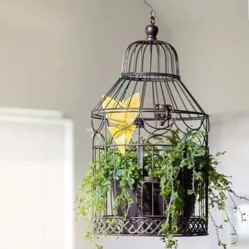 Trappify Sticky Gnat Traps for House Indoor - Yellow Fruit Fly Traps for Indoors|Outdoor Plants | Insect Catcher for White Flies, Mosquitos, Fungus Gnats | Disposable Glue Fly Trap Indoor (12 Pack)