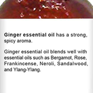 Majestic Pure Ginger Essential Oil - 100% Pure Quality