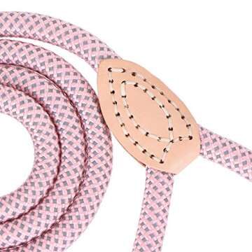 Mile High Life Reflective Dog Leash for All Breeds