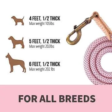 Mile High Life Reflective Dog Leash for All Breeds