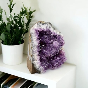 Buy Natural Amethyst Crystal Geode 4.5-7.5 Inches