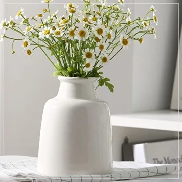 Elegant White Ceramic Vases Set of 3 for Home Decor