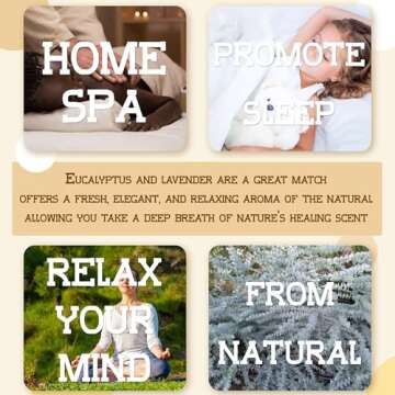 NTLPAMPA 4 Kinds Eucalyptus & Lavender Flowers Bundles for Shower |Real Eucalyptus Leaves Home Decor...