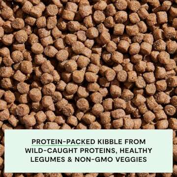 Open Farm, Grain-Free Dry Dog Food, Complete & Balanced Kibble, Sustainably & Ethically Sourced Ingredients, Non-GMO Veggies & Superfoods to Support Overall Health, Wild-Caught Salmon Recipe, 4lb Bag