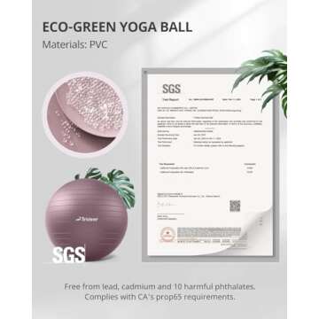 Trideer Yoga Ball - Exercise Ball for Workout pilates Stability - Anti-Burst and Slip Resistant for physical therapy, Birthing, Stretching & Core Workout, Office Ball Chair, Flexible Seating, Home Gym