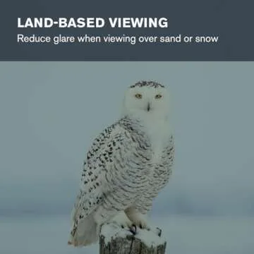 Celestron – Telescope Moon Filter – Eyepiece Accessory – Reduces Moon Glare and Enhances Lunar Crater Details – Great for Full Moon Observing – Works with Any Telescope That Accepts 1.25" Eyepieces