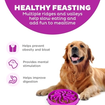 Outward Hound Fun Feeder Slo Bowl - Large Slow Feeding Dog Bowl