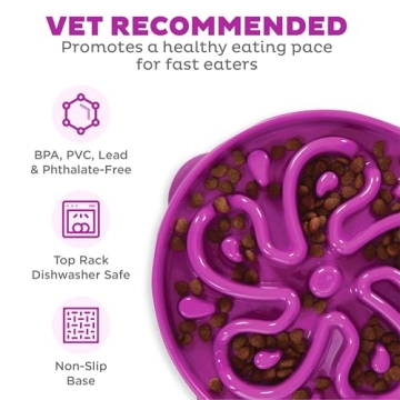 Outward Hound Fun Feeder Slo Bowl - Large Slow Feeding Dog Bowl