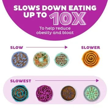 Outward Hound Fun Feeder Slo Bowl - Large Slow Feeding Dog Bowl