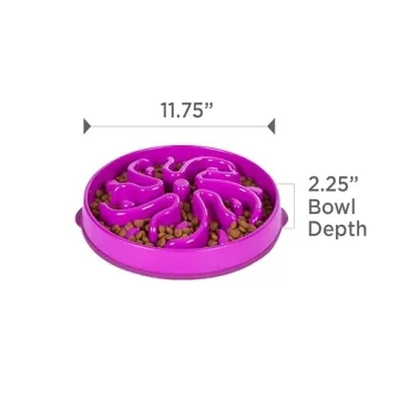 Outward Hound Fun Feeder Slo Bowl - Large Slow Feeding Dog Bowl