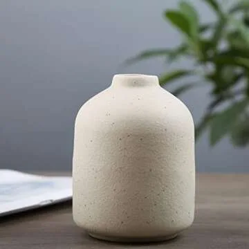 Modern Ceramic Vases Set for Stylish Home Decor