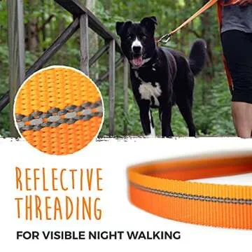 Mighty Paw Standard Dog Leash | 6 Foot Dog Lead with Soft Padded Handle. Bonus D-Ring and Strong Carabiner Clip for Pullers. High Visibility Weatherproof Pet Leash with Reflective Stitching (Orange)