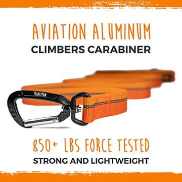 Mighty Paw Standard Dog Leash | 6 Foot Dog Lead with Soft Padded Handle. Bonus D-Ring and Strong Carabiner Clip for Pullers. High Visibility Weatherproof Pet Leash with Reflective Stitching (Orange)