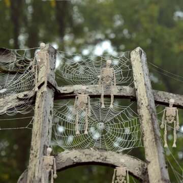 Jocomoni 6Pcs Mini Skeletons for Halloween Decor