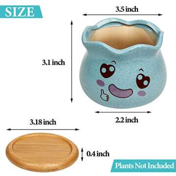 Charming Yangbaga Succulent Pots with Bamboo Tray Set