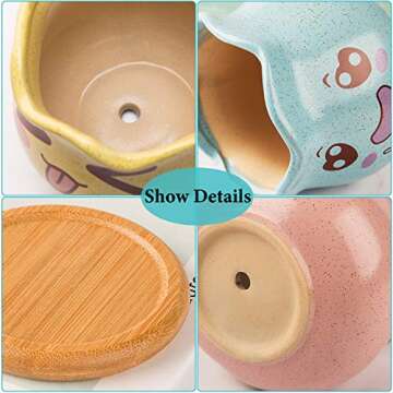 Charming Yangbaga Succulent Pots with Bamboo Tray Set