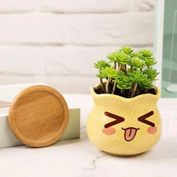 Charming Yangbaga Succulent Pots with Bamboo Tray Set
