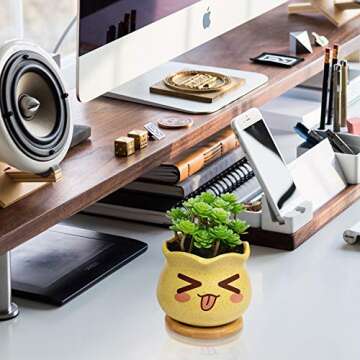 Charming Yangbaga Succulent Pots with Bamboo Tray Set